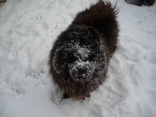 PeaceofMind71's profile picture. 