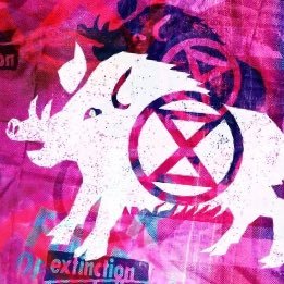 Extinction Rebellion Forest of Dean-see our Facebook page for details of weekly meetings and events https://t.co/wYzkqtMp2l