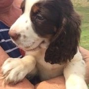 madisonp1's profile picture. 