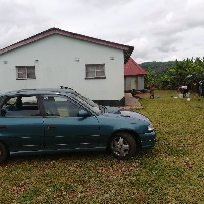 fungaicatfamily's profile picture. Heart of gold