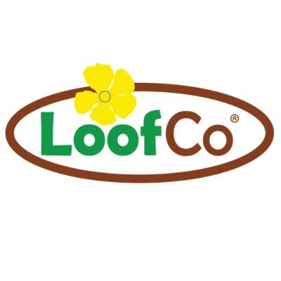 Plastic Free Cleaning.
A brush with nature.
VISIT THE LOOFCO WEBSITE ⬇️⬇️⬇️
https://t.co/mxC9J0J40U