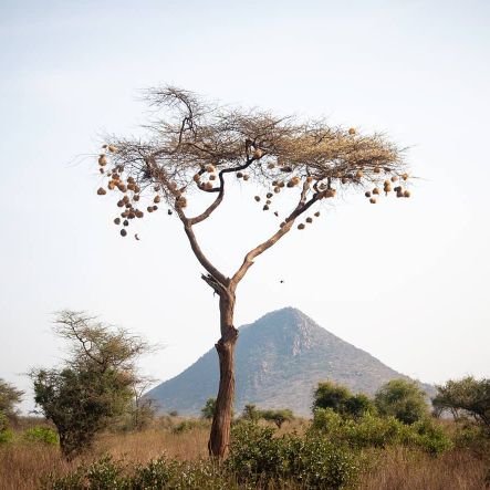 biegon_alexis7's profile picture. 