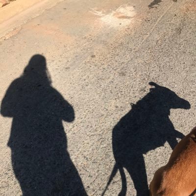 BrigitteBasson4's profile picture. 