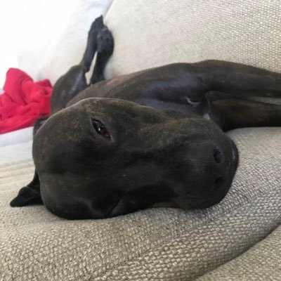 RabiGayas's profile picture. 