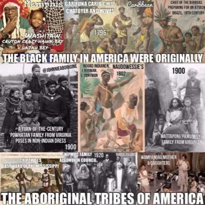 Wild Indian, no res can hold me no court can fold me!. 1828 definition of American! All rights retained, none waived!