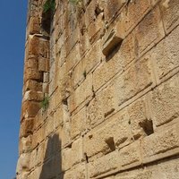 Özgürlük/2 (yedek hesap) (@2_ozgurluk) 's Twitter Profile