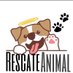 Rescate Animal-Cajamarca (@animalcajamarca) Twitter profile photo Rescate Animal-Cajamarca (@animalcajamarca) Twitter profile photo