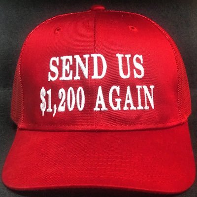 NOT A MAGA HAT