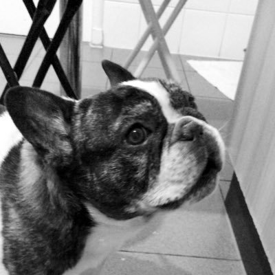 pacotejhonson's profile picture. #RECHAZO