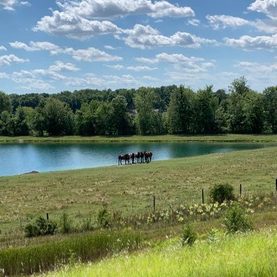 safaa55948255's profile picture. You have to be happy