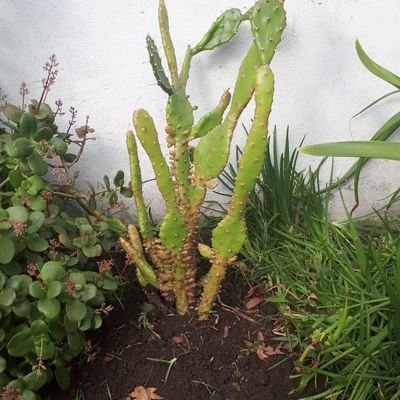 diee1761's profile picture. cada día que pasa me doy cuenta que el ser humano merece la extinción.