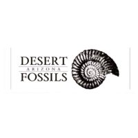 DESERTFOSSILS(@desertfossils) 's Twitter Profile Photo