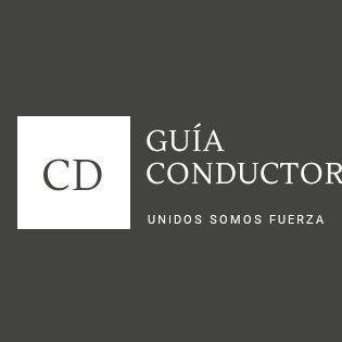 Somos profesionales, manejamos nuestra propia unidad de transporte de turismo, que estamos luchando por nuestros derechos a ser reconocidos por las autoridades