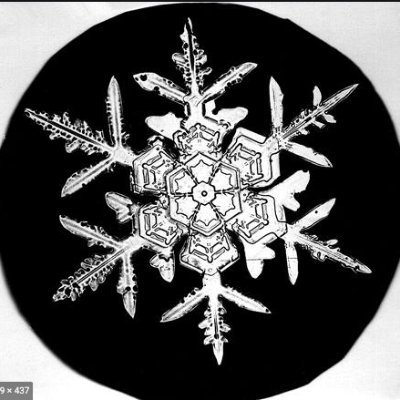 CoddledS's profile picture. Totally unique (just like everybody else)