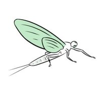 ephemerons (@eephemerons) 's Twitter Profile