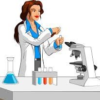 Tu_Laboratorio's profile picture. 