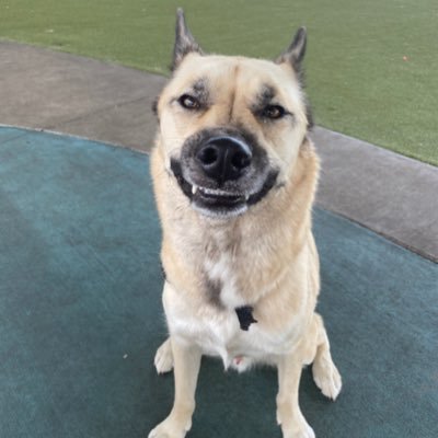 benjamindixs's profile picture. 