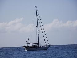 VIAJEROS7's profile picture. 