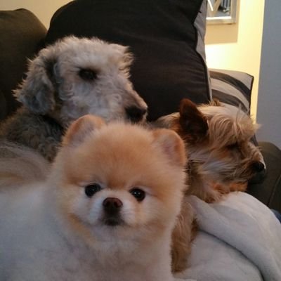 EliasIRL's profile picture. 7.29.12