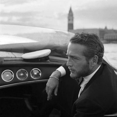 TheFord_Report's profile picture. Calling out bullshit one bull at a time.