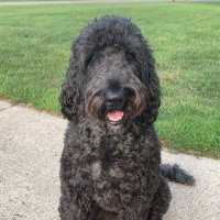 Demarco Prewitt (@demarcoprewitt) 's Twitter Profile