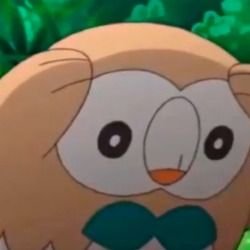 arielon88's profile picture. 