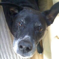 Daniel Jarvis (@fredocal) 's Twitter Profile Photo