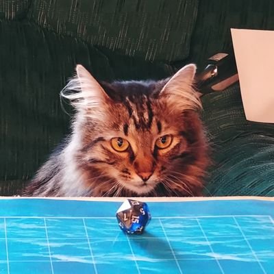 Unprofessional DM \ Dice Corvid \ Homebrewer \ Currently working on: A TTRPG called Cryptozoology and Adventure-Libs, a Mad-Libs inspired story creator