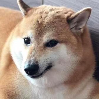 smaugtita's profile picture. Un corral para mi solita y mis novelas danmei
ʕ ꈍᴥꈍʔ