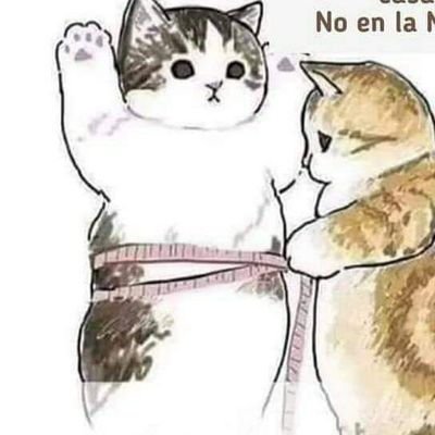 Me gusta , escribir y ser amigable con todo , amo la música y la gastronomía soy amigable y sincera