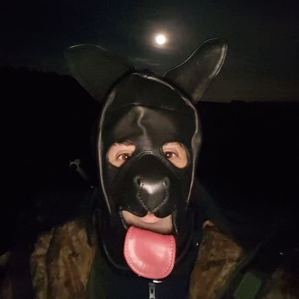 spiecyweener's profile picture. Woof woof 🇬🇧