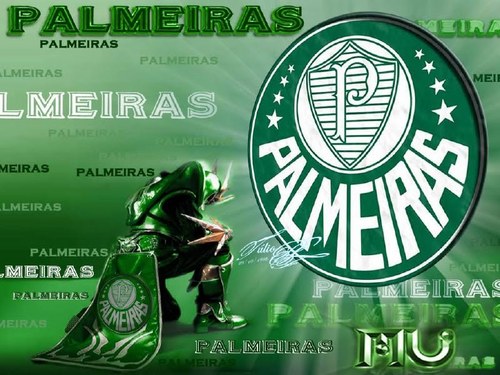 PALMEIRAS TIME DO CORAÇÃO