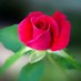 Pravallika (@pravalika_rasi) Twitter profile photo Pravallika (@pravalika_rasi) Twitter profile photo