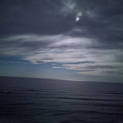 fr0z3nh4wK_'s profile picture. 🇦🇺