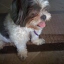 Shari klein - @ShariLKlein - Twitter