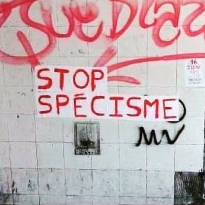 Regroupement des messages antispécistes laissés sur les murs et bâtiments symboles d’oppression. Rendons visibles les victimes invisibles 🐄🐖🐓🐟