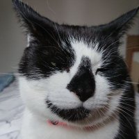 David Curtis EV Driver (@curtisuk) 's Twitter Profile