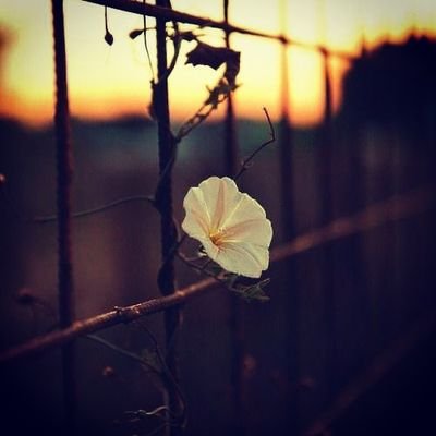 BTiTbSBaxJrzNd4's profile picture. 