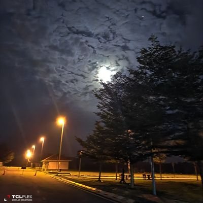 AnuarHalim3's profile picture. Taking a peak on wtf are going on~