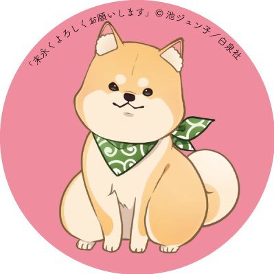 柴咲さんのプロフィール画像