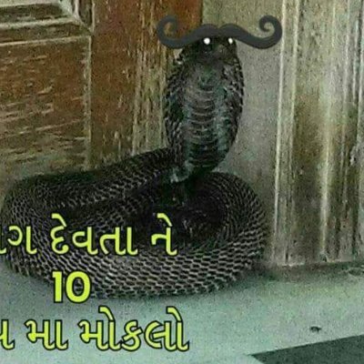 Nihalsi34620231's profile picture. Rirĺ