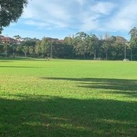 Save Gardiner Park ๐ณ๐ฆ๐๐น (@gardinerpark) 's Twitter Profile