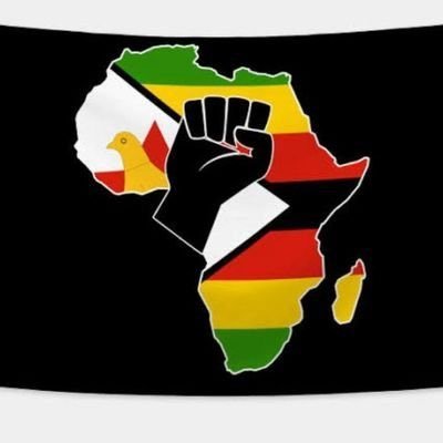 kudziJulia's profile picture. 