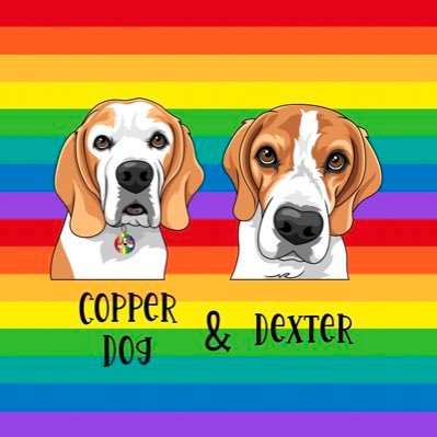 The Beagle Boys, Copper Dog and Dexter are trying their paws at Twitter! Looking to make new pals around the world 🐶🐶