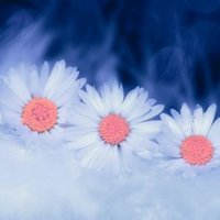 MariposaW1231 ๐ (@mariposaw1231) 's Twitter Profile Photo MariposaW1231 ๐ (@mariposaw1231) 's Twitter Profile Photo