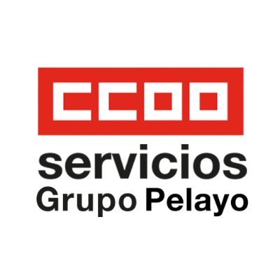 Sección Sindical de CCOO en el Grupo Pelayo