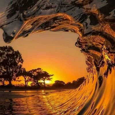 shakababuu's profile picture. 