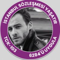 Kerem Bürsin(@KeremBursin) 's Twitter Profile Photo