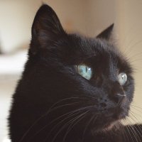 Daniel 🇺🇳 (@ea2bb) 's Twitter Profile