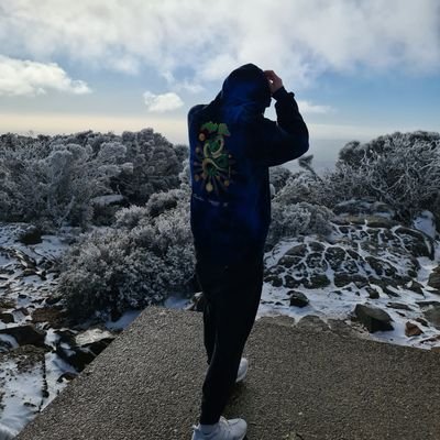 ino🐒 Profile